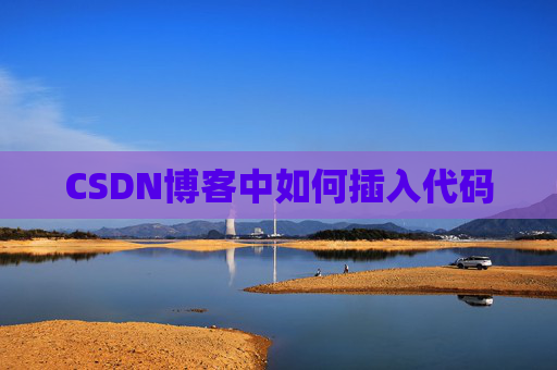 CSDN博客中如何插入代码